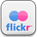 Flickr Icon